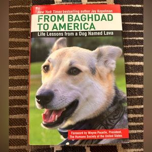 From Baghdad to America… Life Lessons from a dog named Lava.. hardcover
